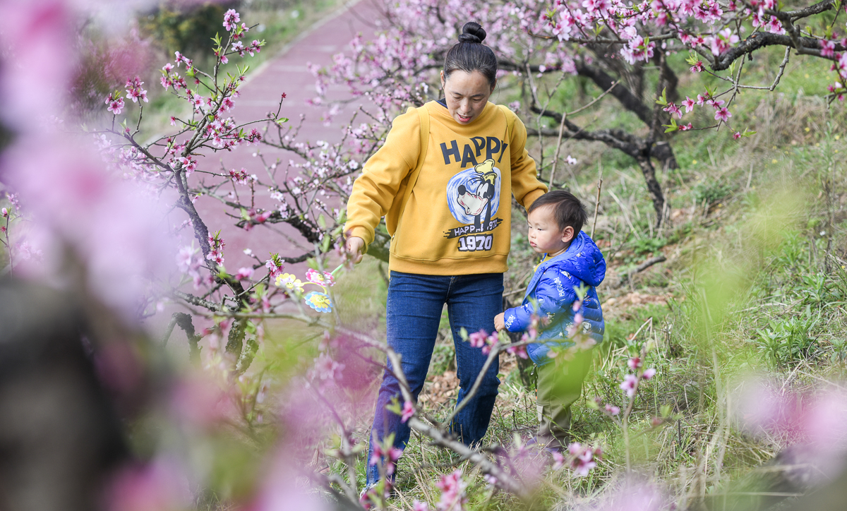 潼南油菜花旅游攻略,美好春日潼南赏花地图快来get