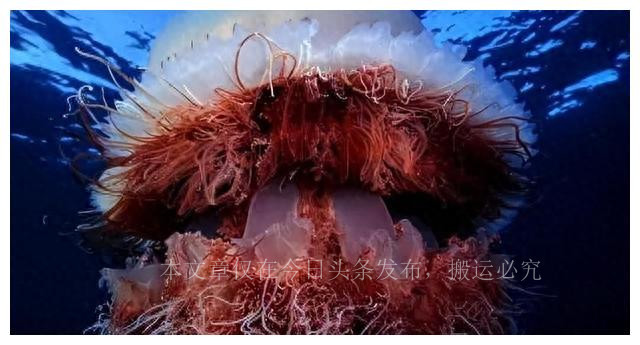 狂砸5亿打造吊打嫦娥3号产品,挑衅中国航天终成笑话