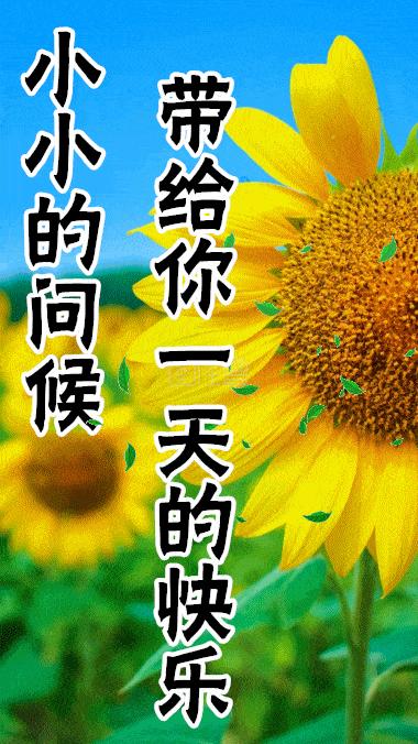 9月27日的早安心语及图片,2022年9月6日早安心语及图片