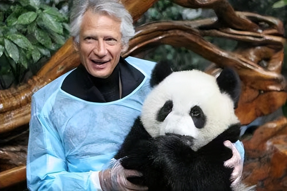 各国对待中国熊猫的态度,盘点各国对待大熊猫的态度