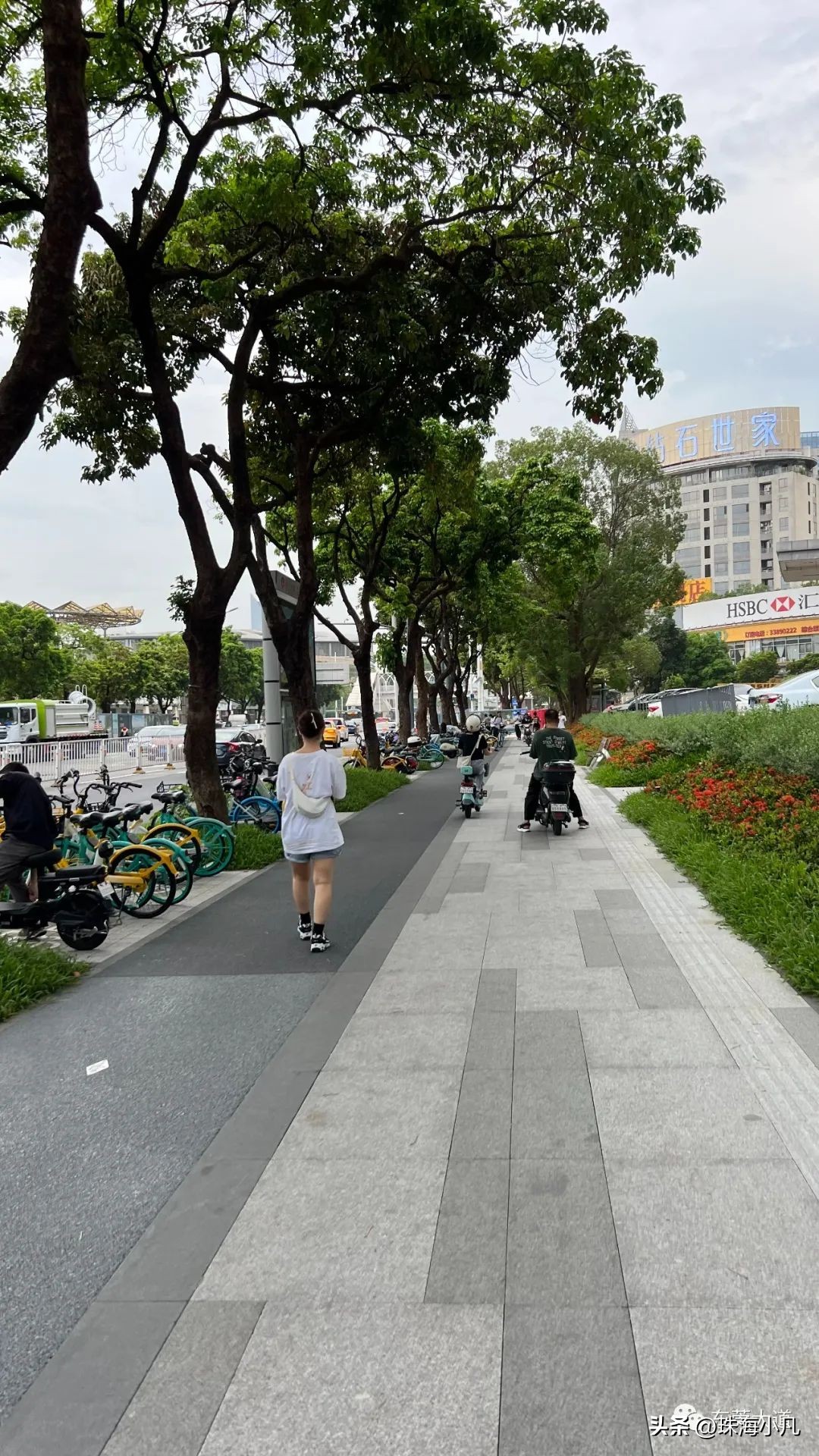 南城县城市中心道路整体规划,南城2024重点改造项目