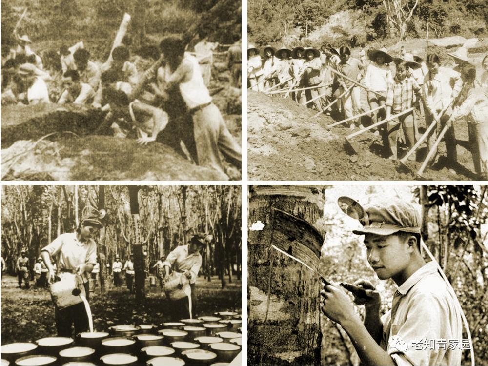 陈凯歌老照片大全集,陈凯歌的知青岁月