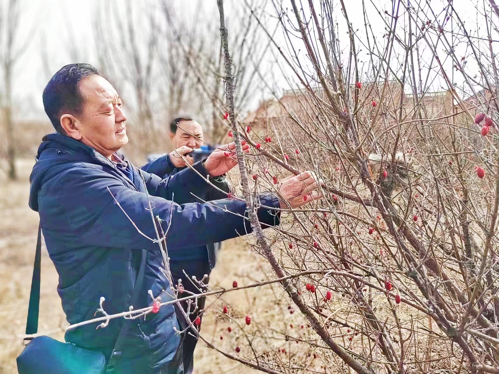 庆城麻红霞,麻红霞老师