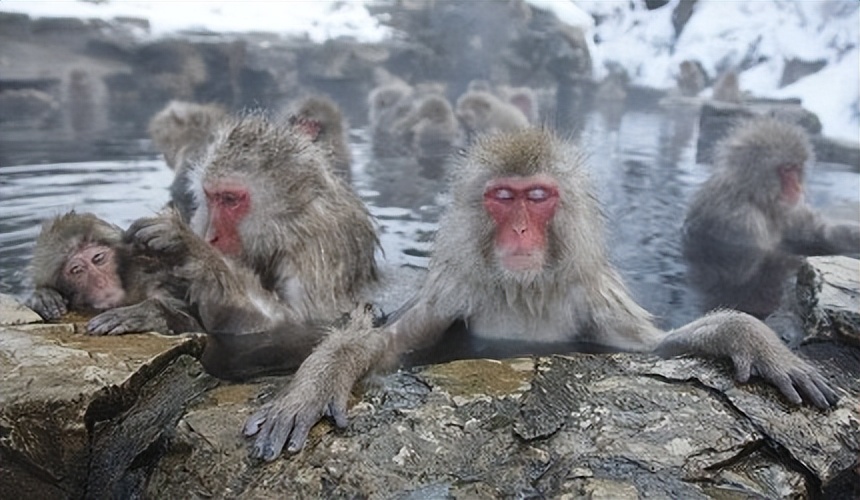 长野自由行攻略,长野冬季旅游攻略