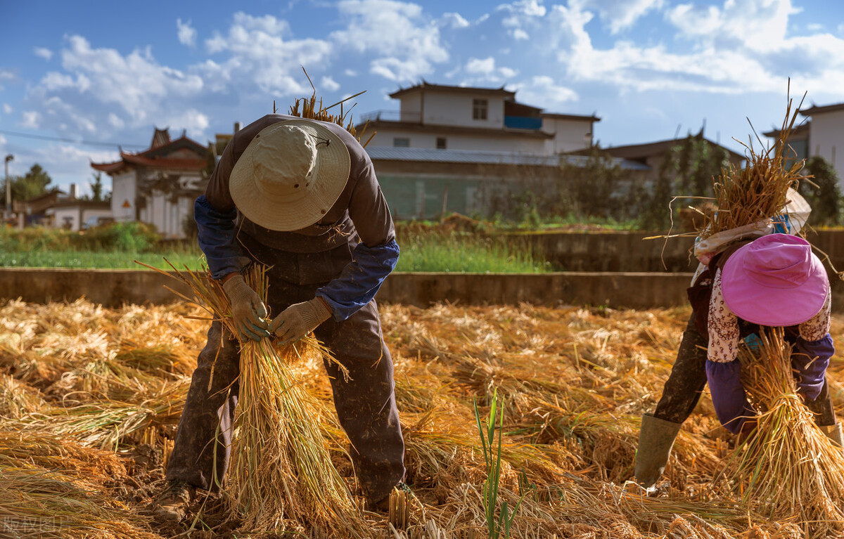谁还记得儿时的苏打饼,谁还记得小时候吃爆米花