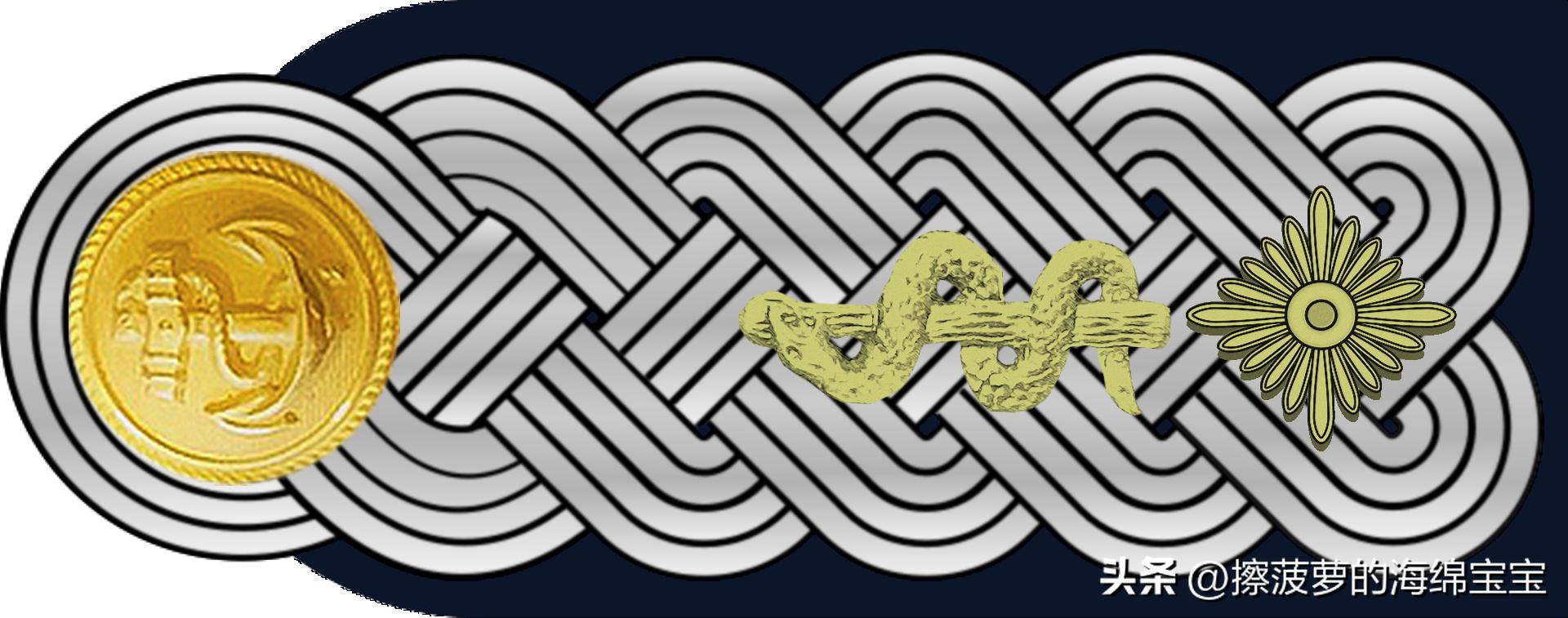 二战德国国防军医疗兵军衔标志