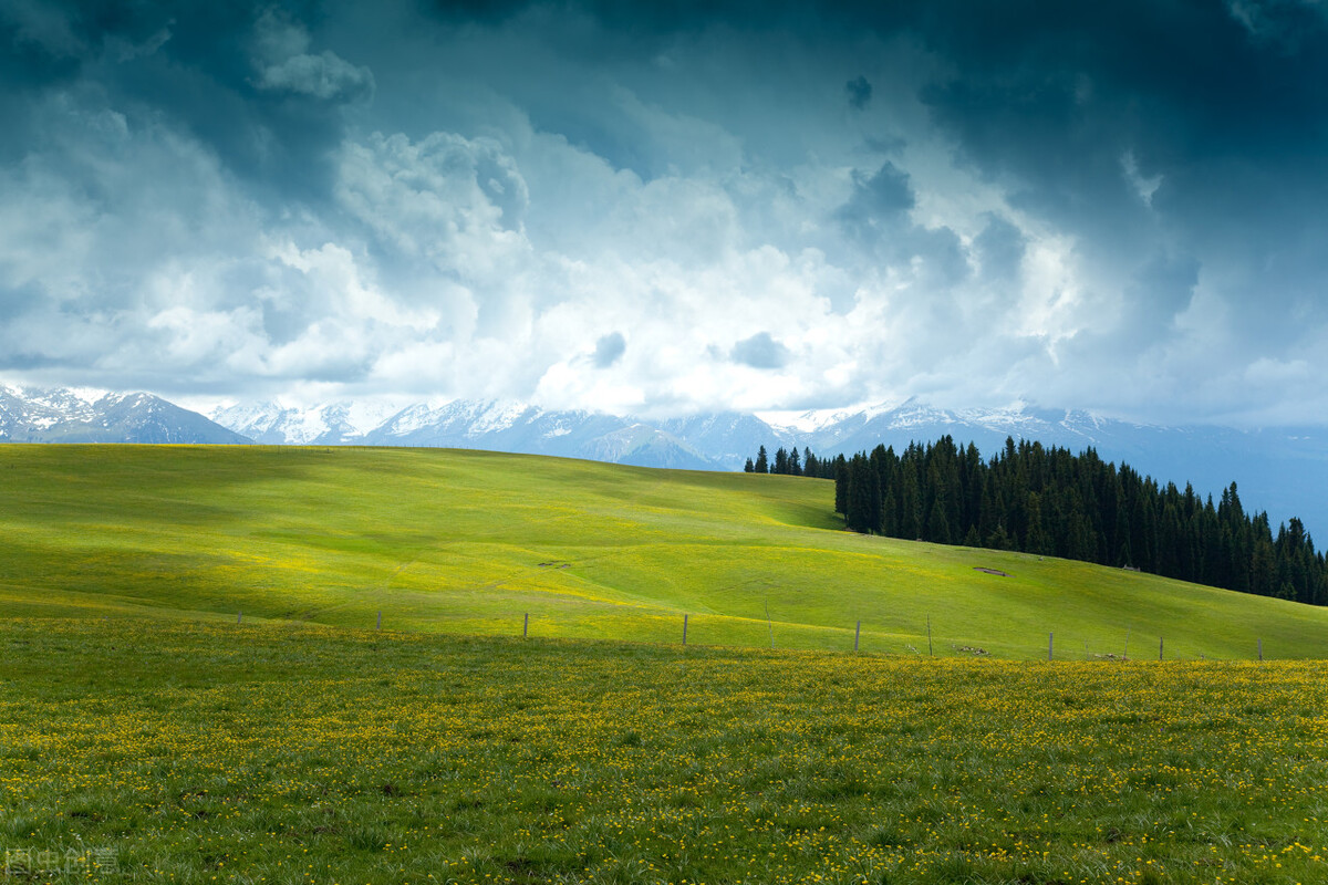 加拿大入境签证注意事项最新,加拿大入境手续2021