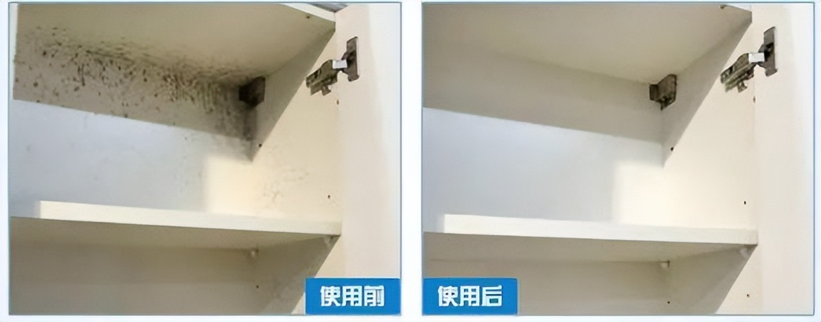 抹布严重霉点霉斑怎么去除,抹布发霉怎么洗掉霉斑没有醋