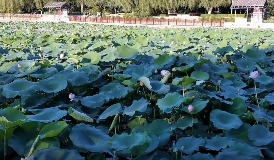郑州冬季周末遛娃好去处,郑州遛娃好去处排行榜