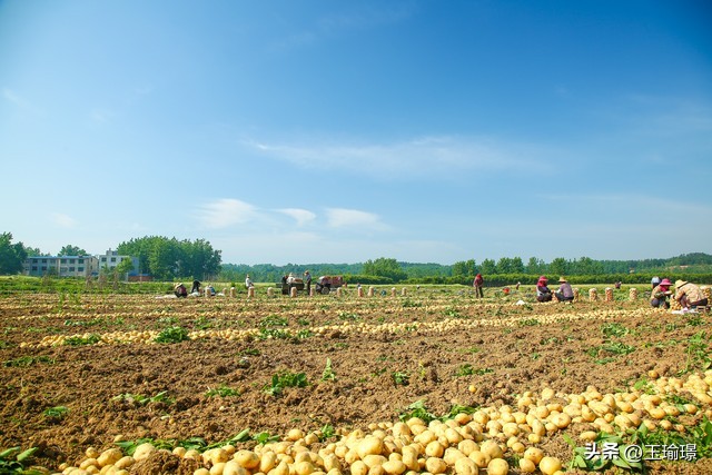 家庭月入两万雇保姆一月3500,妈妈做保姆月入5千