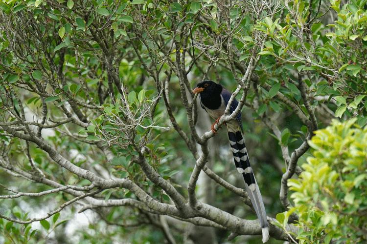 赏城中美景，品厦门味道。城市中心C位酒店，毗邻植物园、中山路