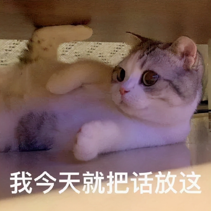 北约制裁俄罗斯的猫,俄罗斯的猫被制裁了是怎么回事