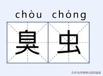 在家里发现小黑颗粒是虫卵吗,墙上有虫卵很小颗粒