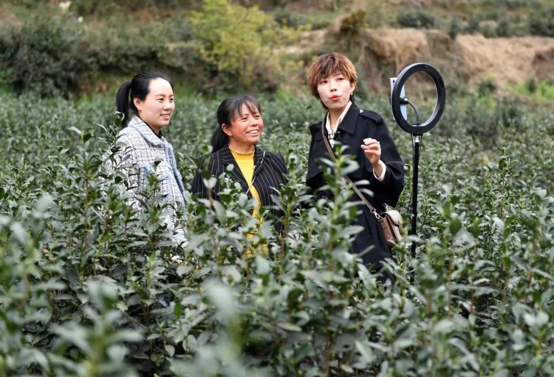 陇南旅游度假,陇南养生天堂旅游攻略