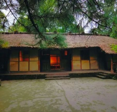 四川成都旅游攻略大全,成都旅游攻略带小孩自由行攻略