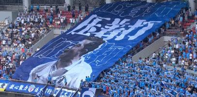 涓浗瓒崇悆椋庨洦璧版潵,韪抗1996