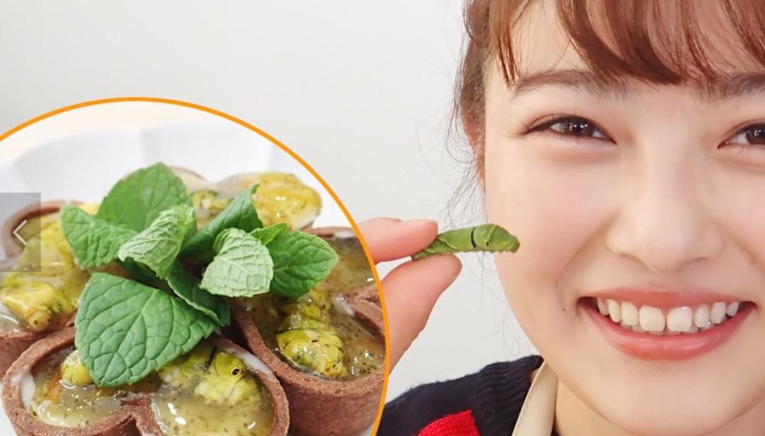 独角仙鹿角虫,鹿角虫和独角仙有什么区别