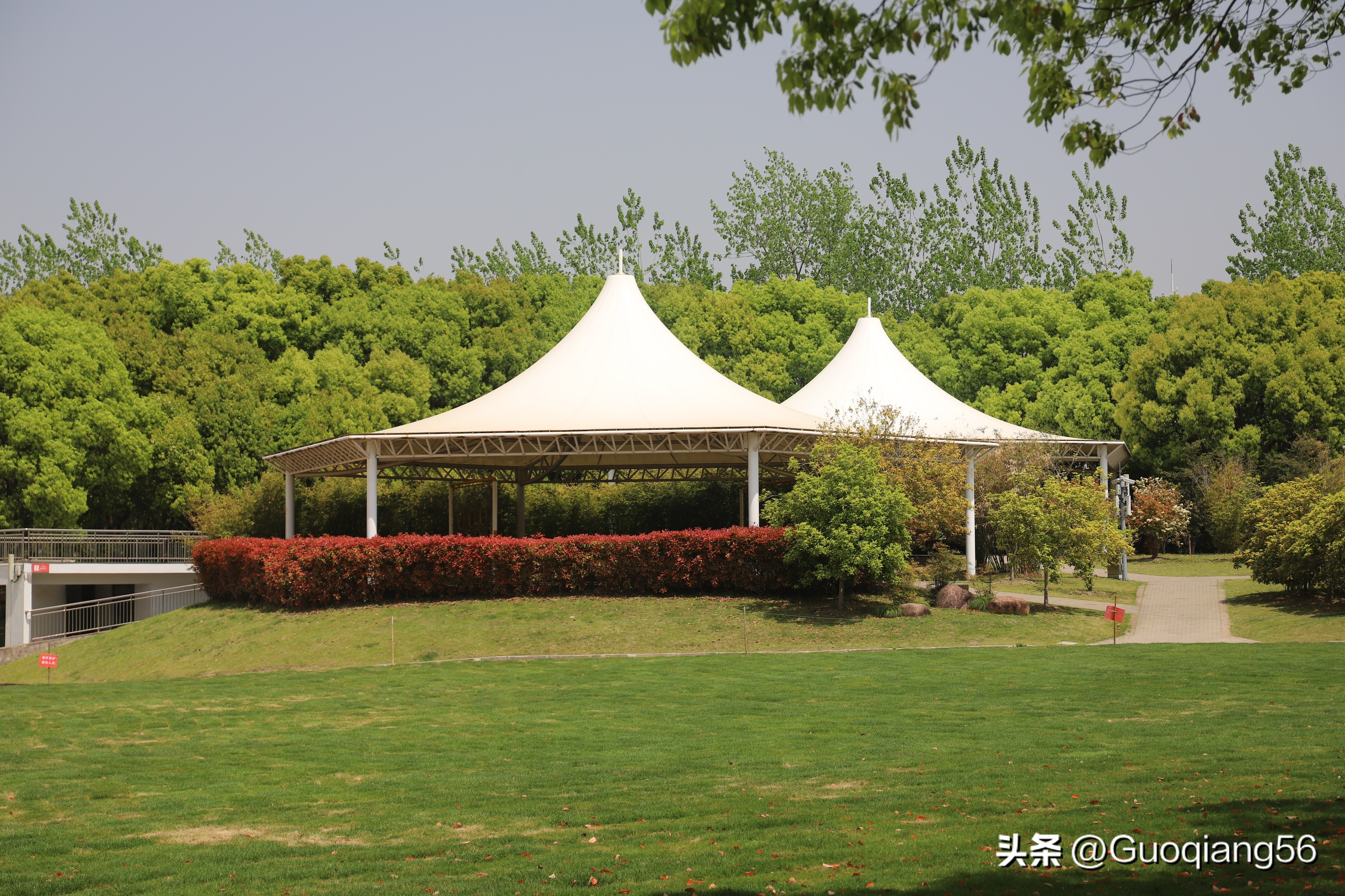 上海动物园门票老年人免费,上海双休日老年人最多的公园在哪