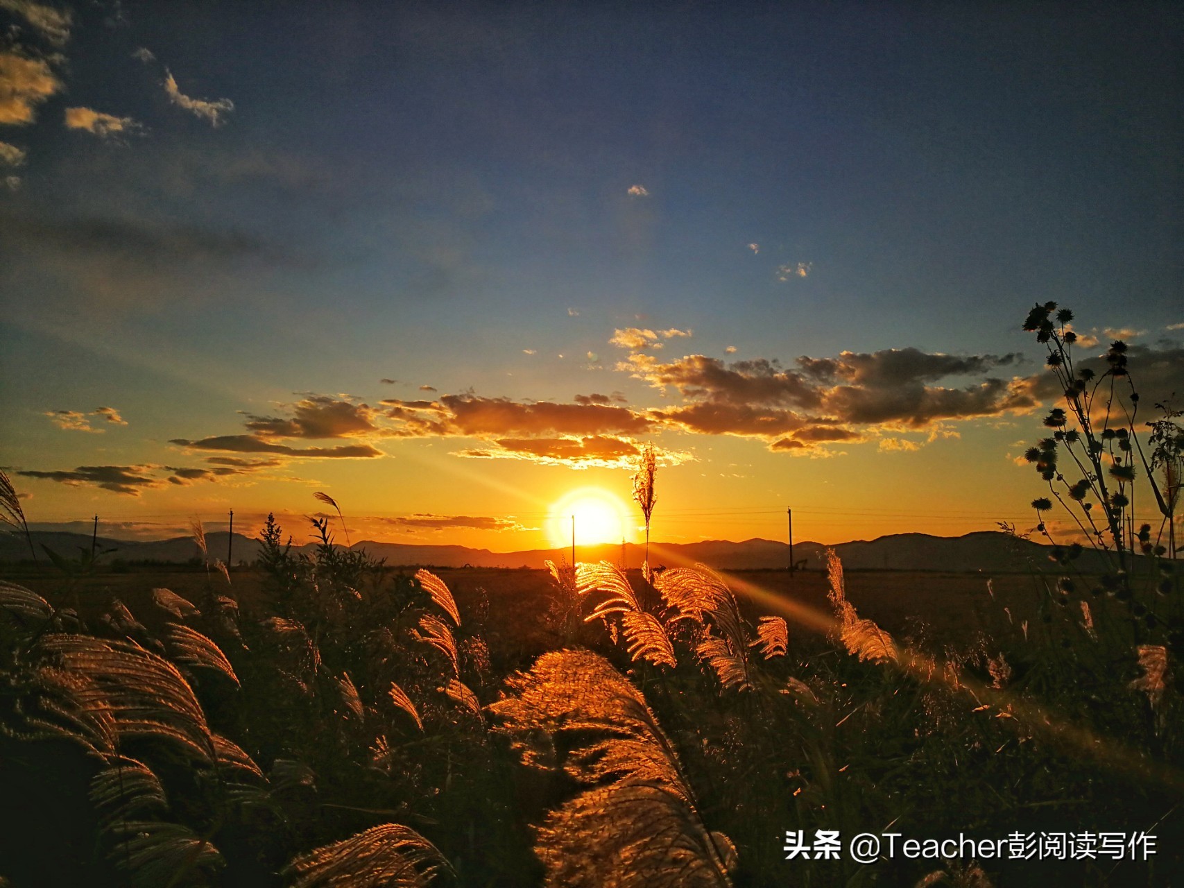 真情自然流露六年级第三单元范文,六年级下册让真情自然流露作文