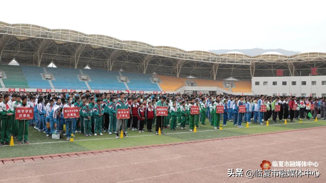 临夏牡丹杯小学篮球比赛,甘肃省临夏市牡丹杯篮球联赛