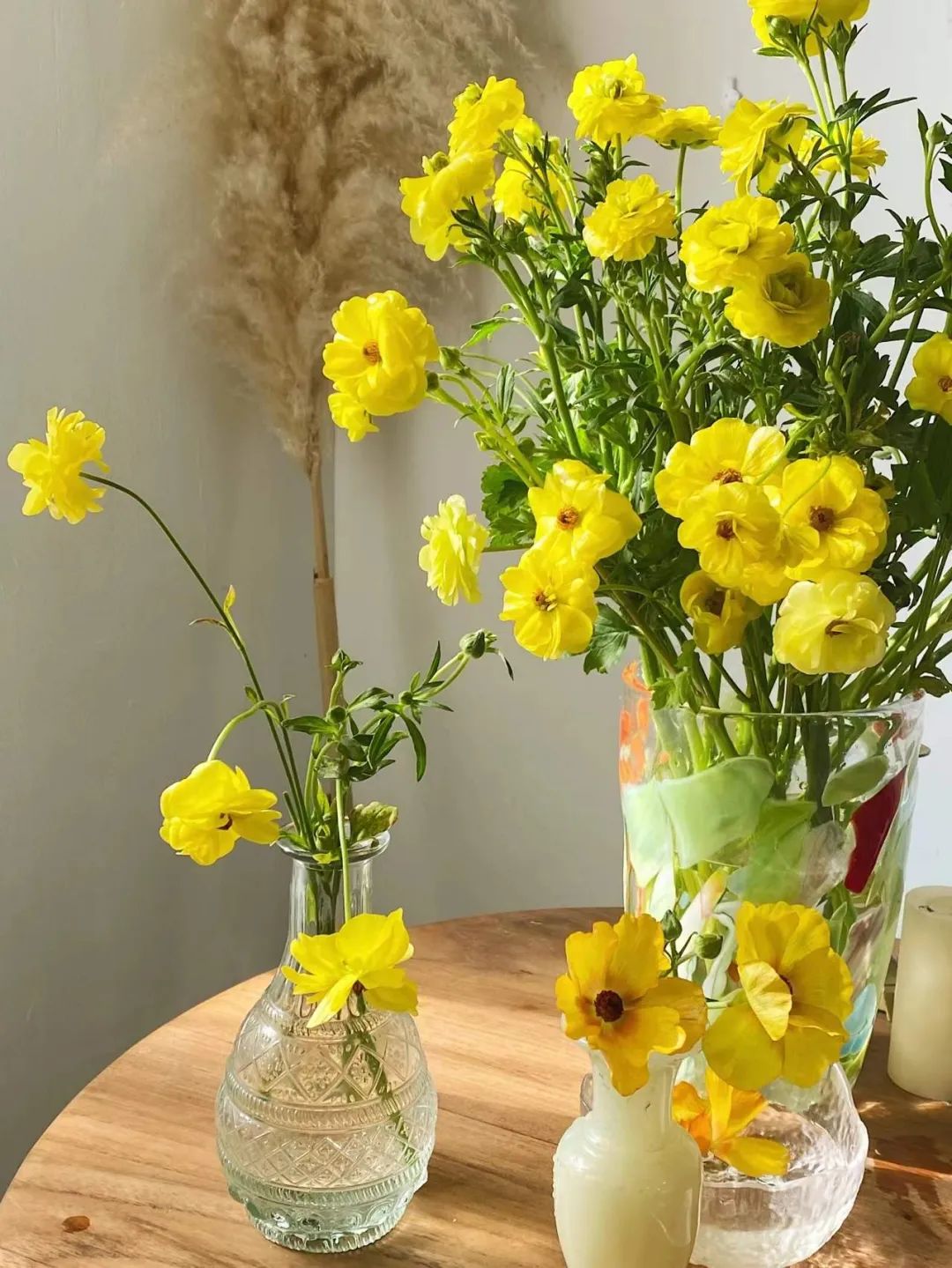 新趋势家居,新趋势家居生活产品