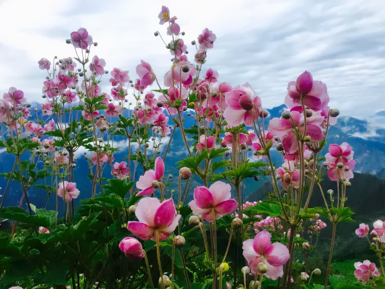 国内十大免费旅行圣地 (10个国内性价比最高的小众旅行地)