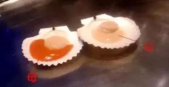 2022秦皇岛最强海鲜日历来了，年头吃到年尾不重样~