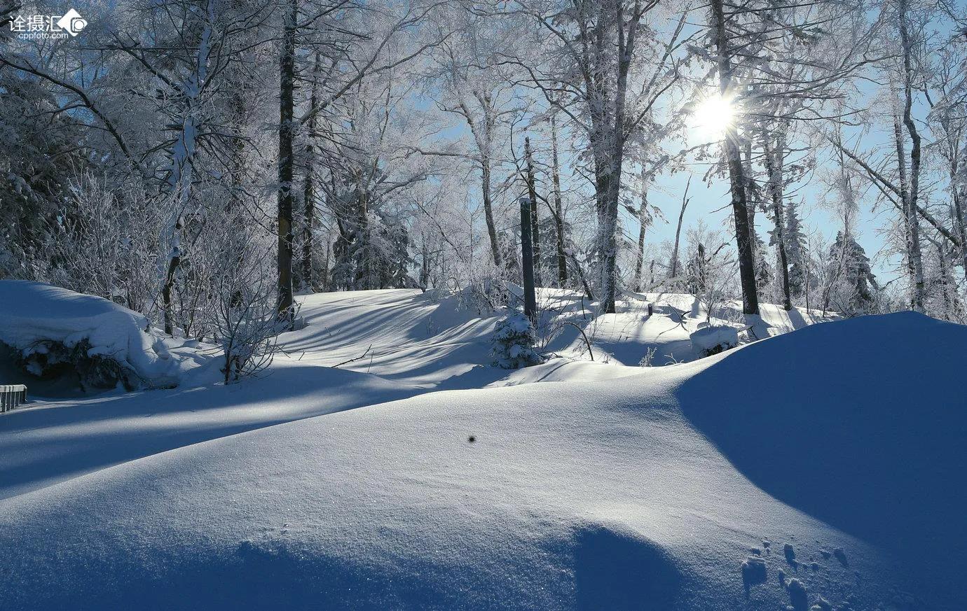 东北十大名菜都有什么你吃过几道,盘点东北出名的12道名菜