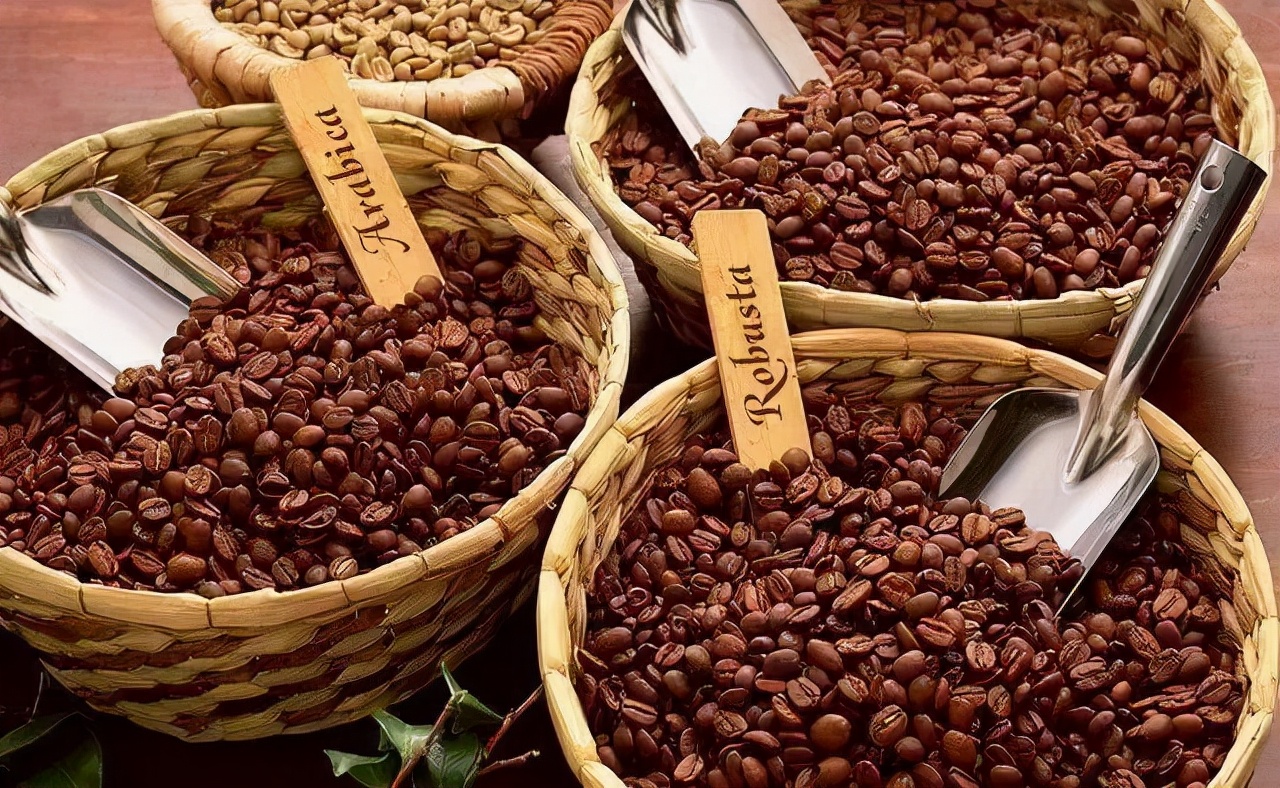 涨知识7个关于咖啡的小知识,40条有趣的咖啡小知识