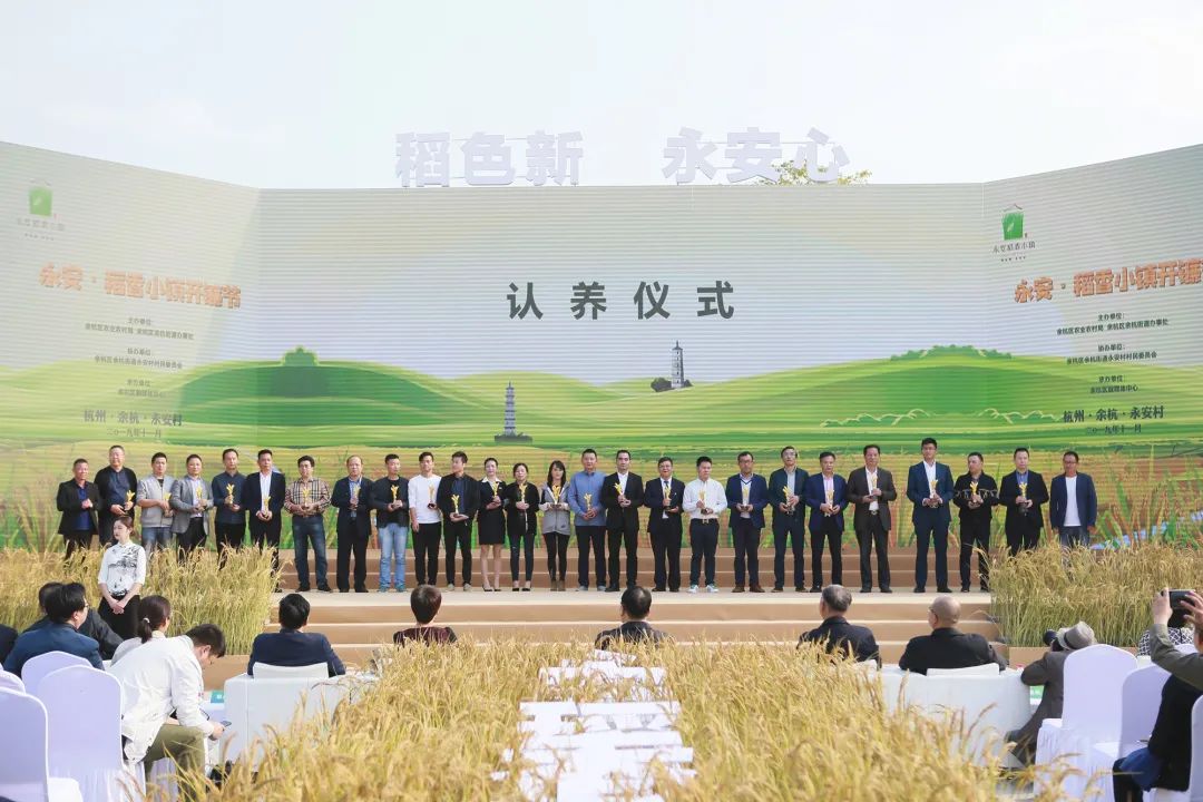 乡村振兴100讲全集,100个经典乡村振兴案例