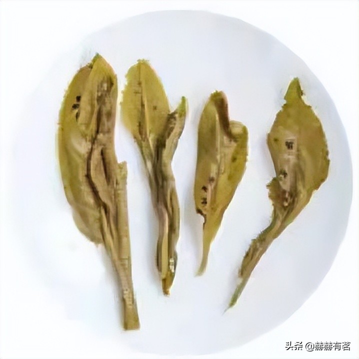 茶叶高温杀青好还是中温杀青好,茶叶光波杀青和蒸汽杀青哪个好