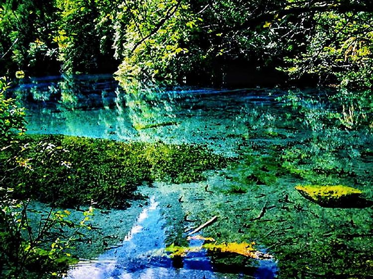 碧水逶迤湖色映九寨，银河泻影山水傲溟渤美篇制作：刘嘉国