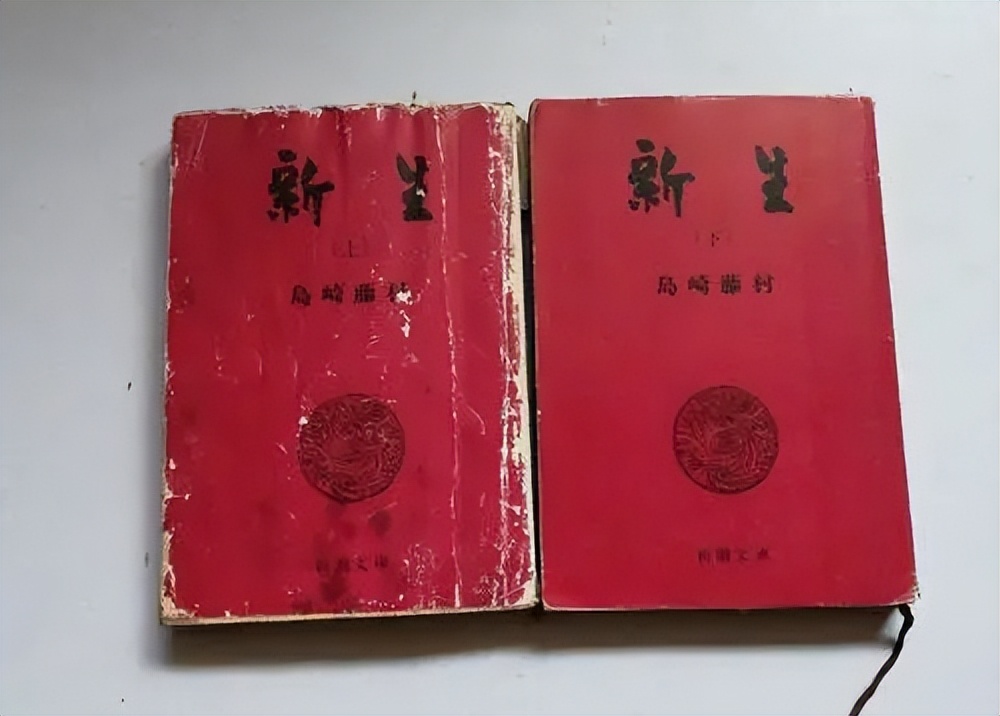 “私”小说鼻祖《棉被》：露骨地描写，大胆地暴露，私在何处？