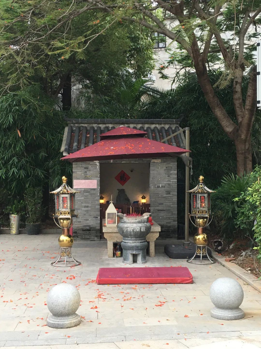 旭光电动车行,旭光车行向阳路