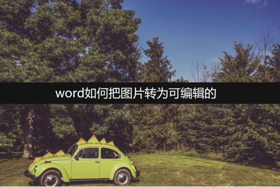 扫描的图片怎么转换word并编辑,word文档图片怎么编辑文字