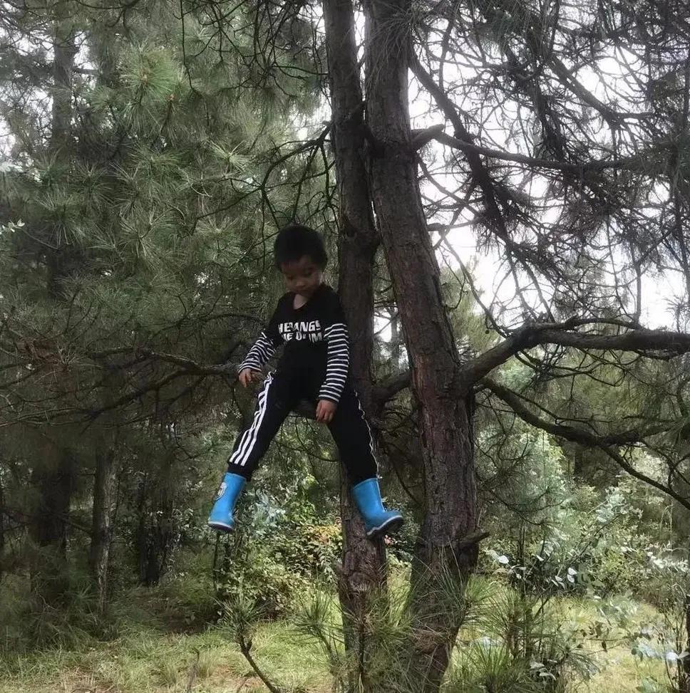 大理幼儿园环境,大理县城幼儿园