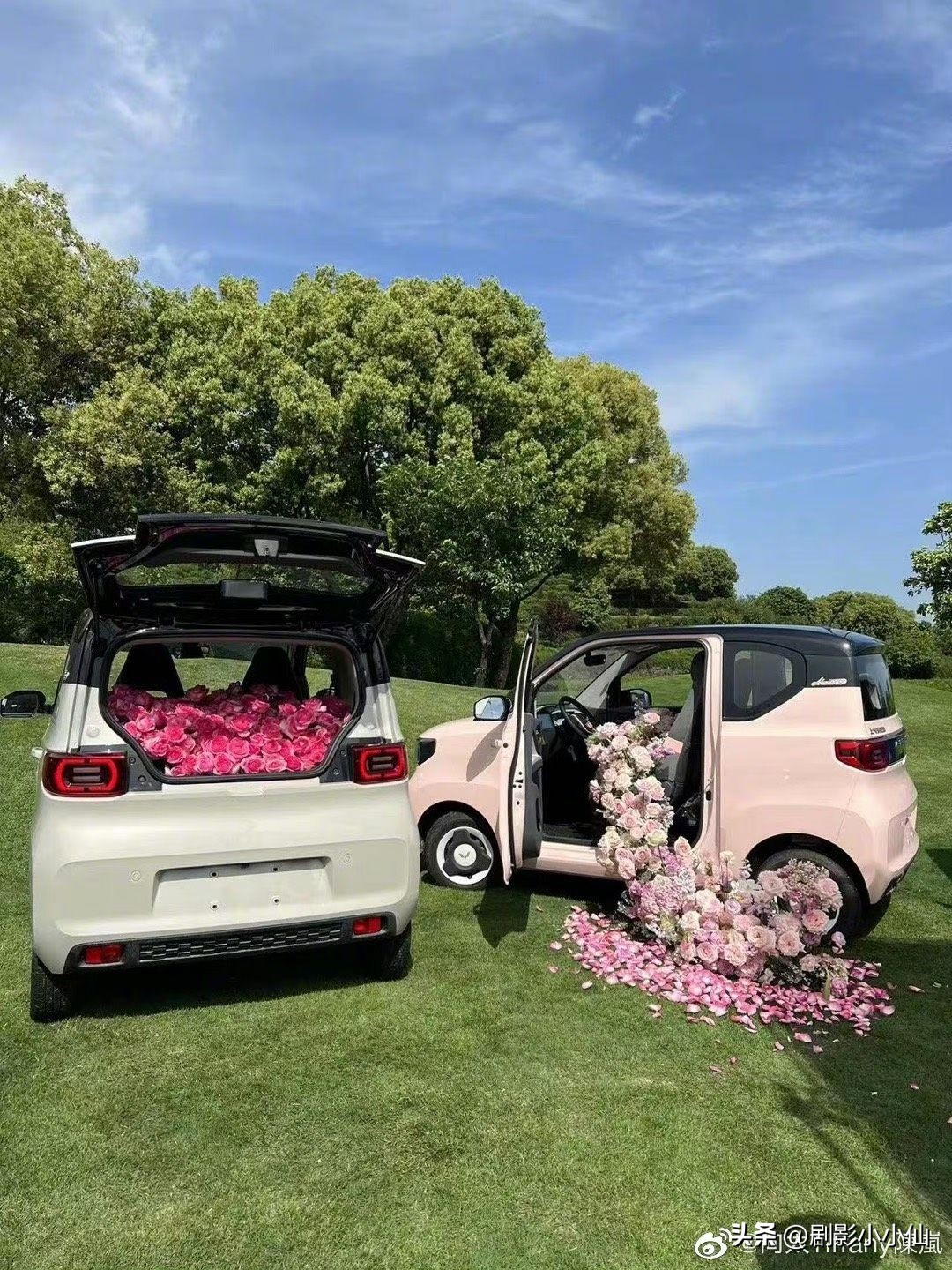 5.7回归直播买百台车狂宠粉，向太带你见识什么是“壕有人性”