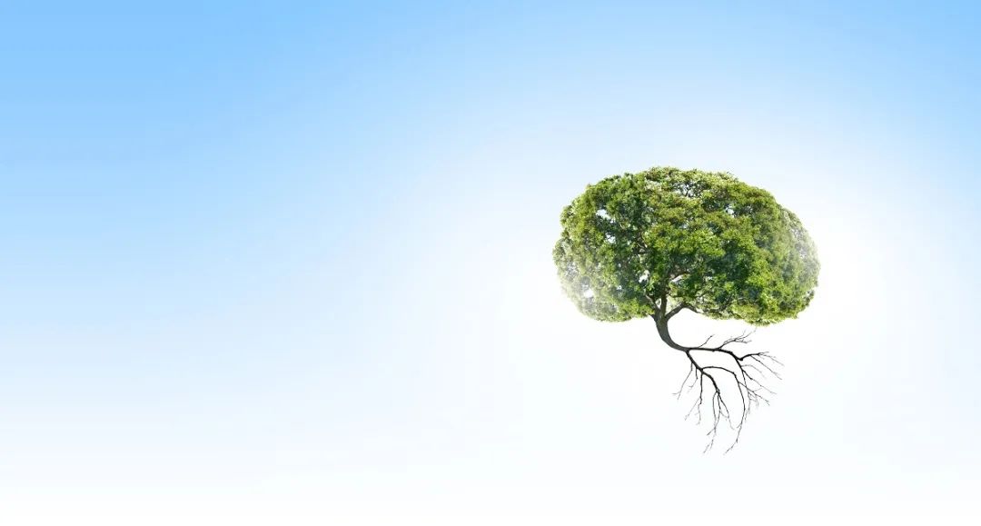 植物人促醒有新方法,植物人促醒的最佳方法