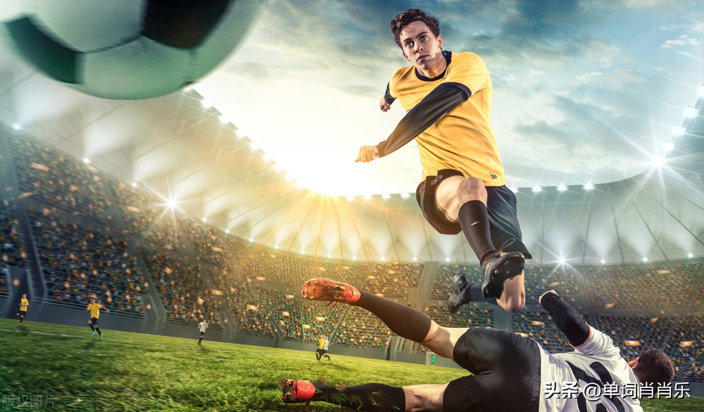 有言有味说单词,有言有味说什么