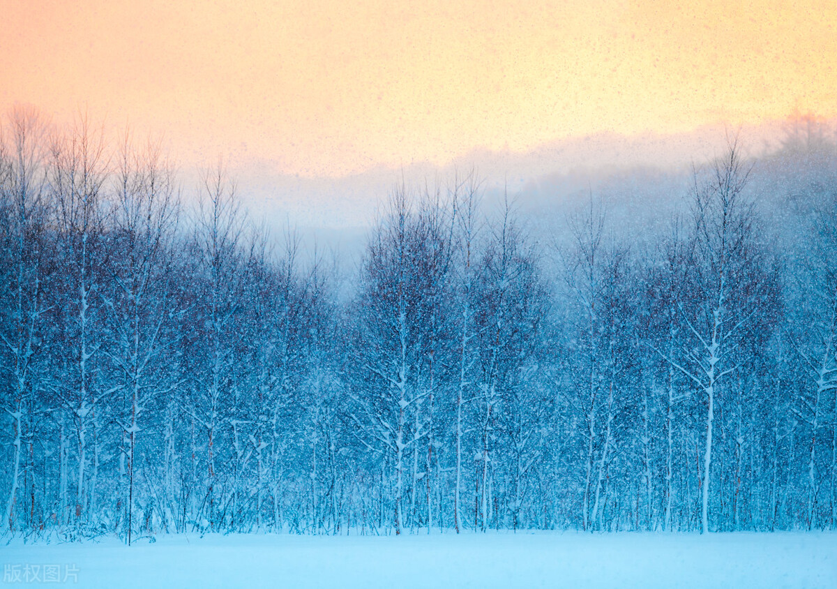 陵冢墓坟有何区别,坟冢墓陵的区别