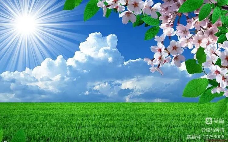 老干部对联,老干部对联大全