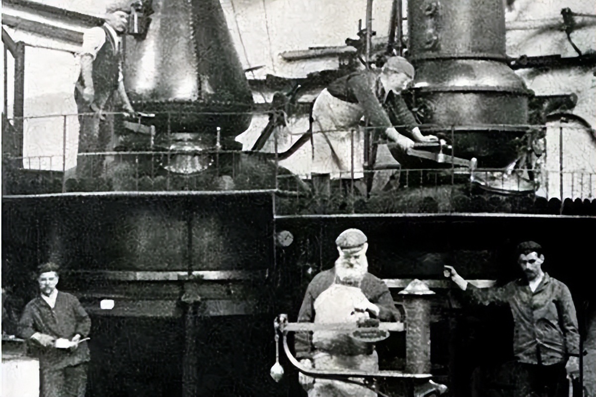 怎样快速了解酒知识,金酒基本知识定义