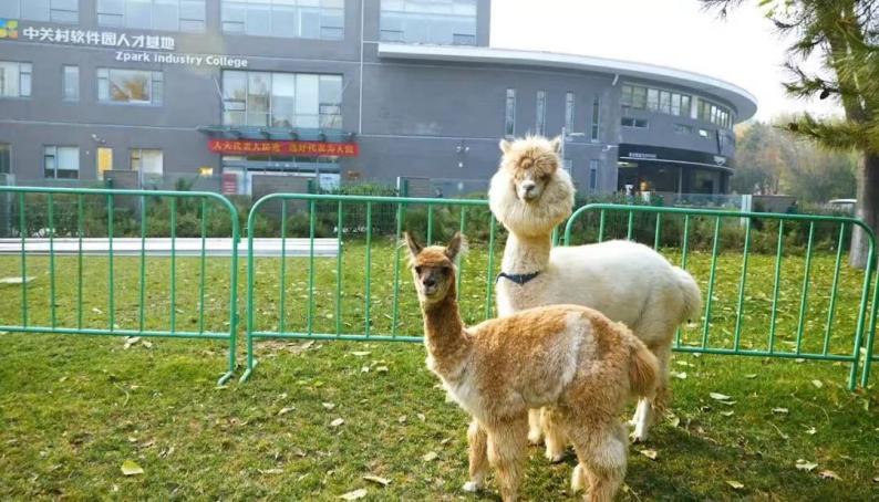 清明小长假去哪儿最全旅游攻略,清明10条精品旅游线路