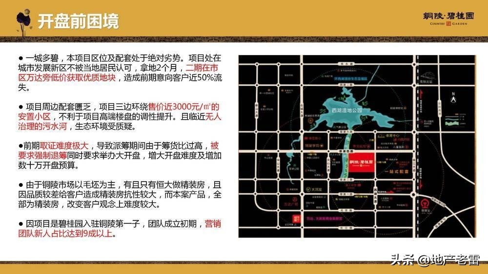 碧桂园房地产竞品分析,碧桂园房地产价格策略