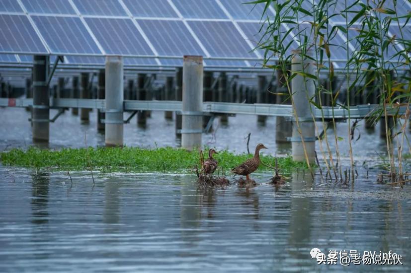光伏项目里程碑,光伏项目案例分析