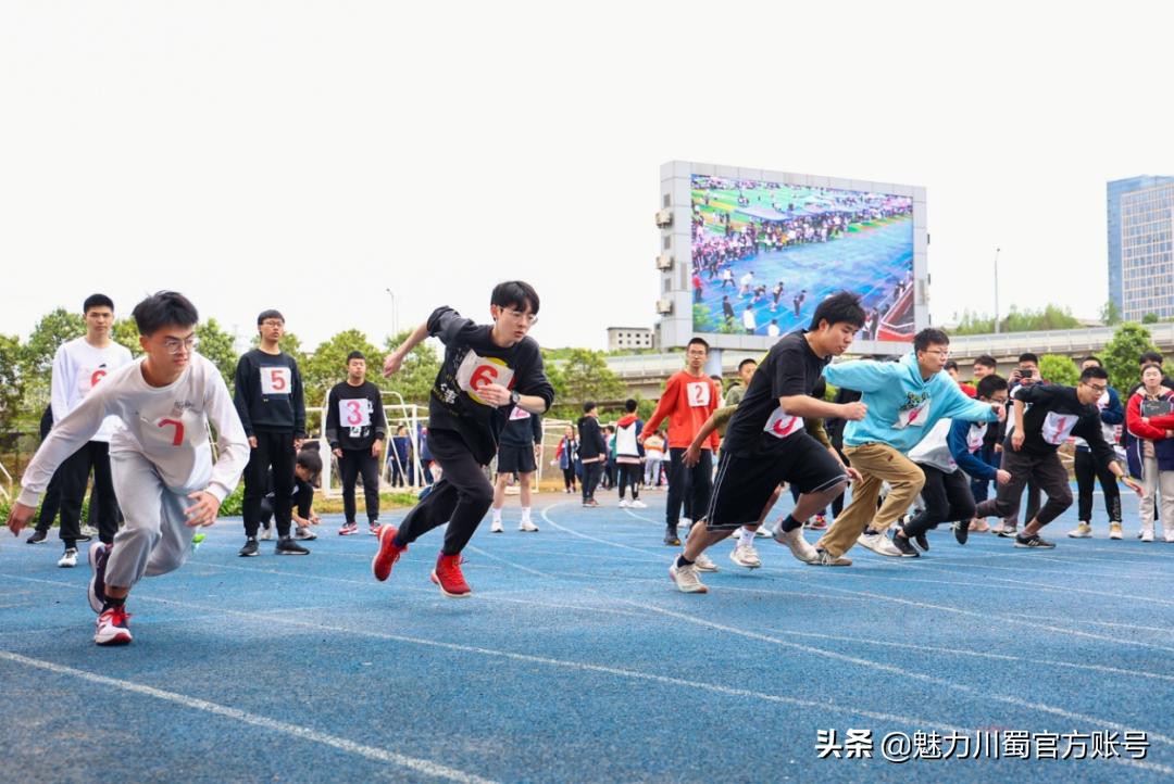 代码009，与未来快乐邂逅丨@中考学子，这里是绵阳中学实验学校