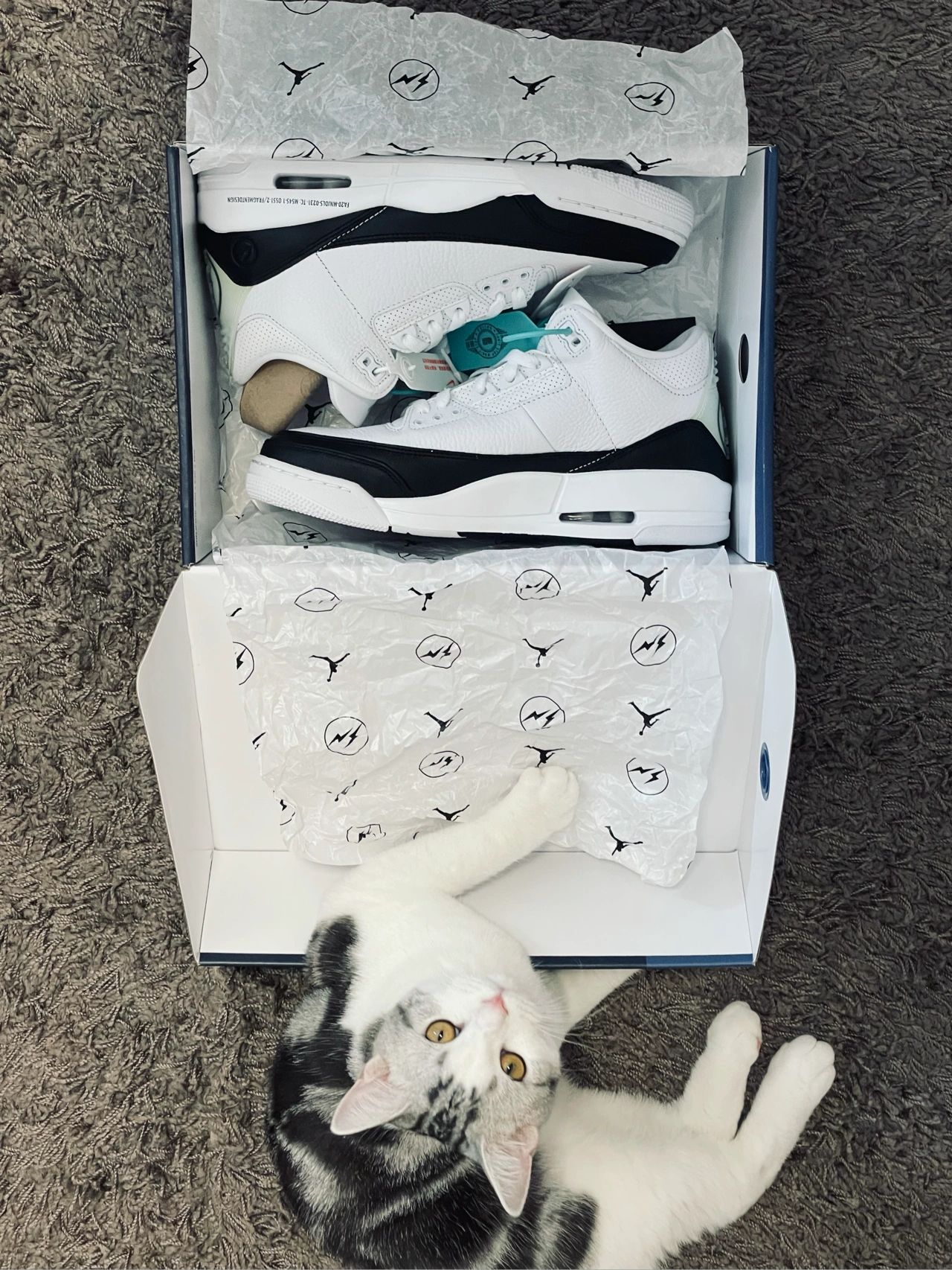 aj3好物卡,aj3firered