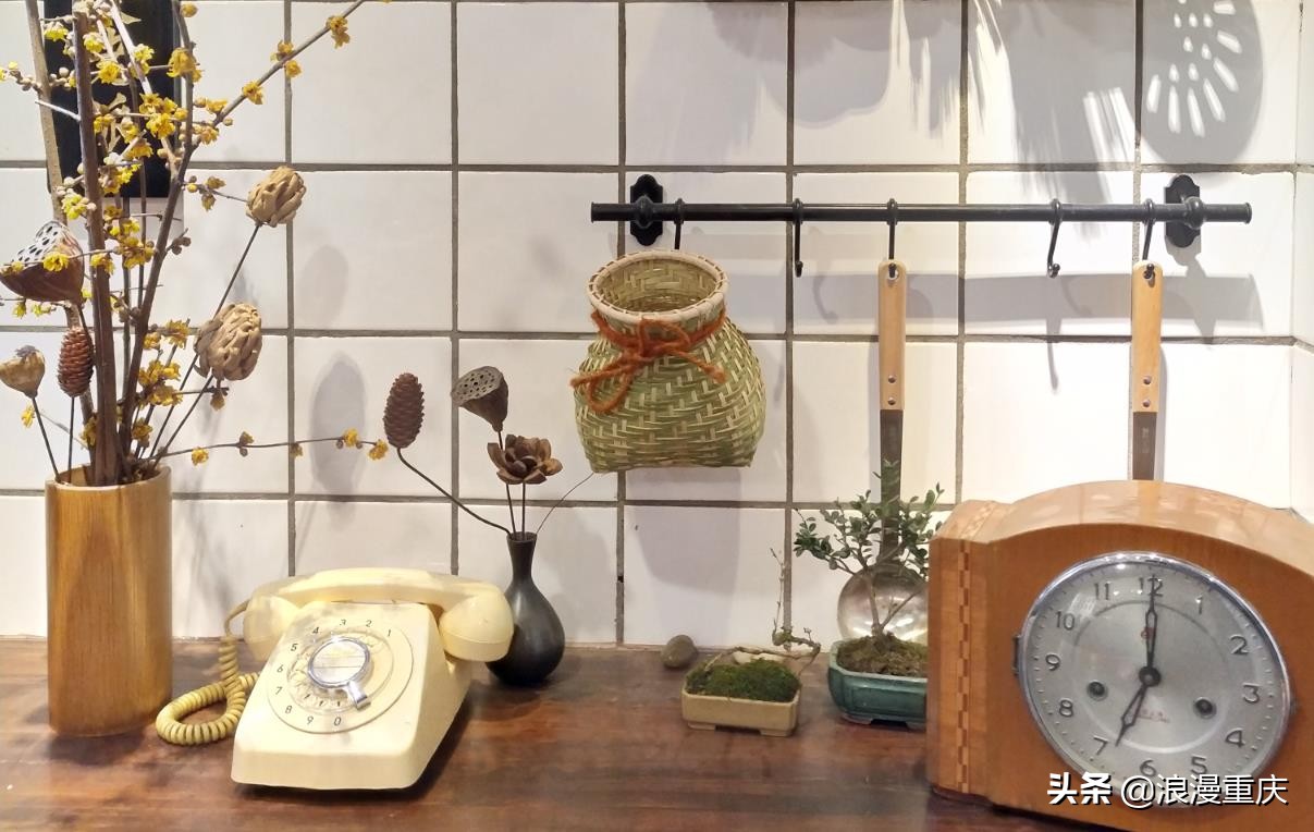 寻找马璐璐,寻找猪鼻狸