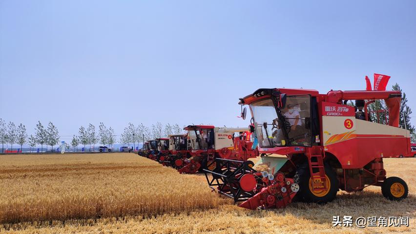 减出亿斤粮！潍柴雷沃以机收减损促颗粒归仓