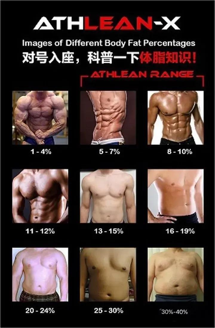 仰卧起坐每天坚持练能练出腹肌吗,每天做100个仰卧起坐多久练出腹肌